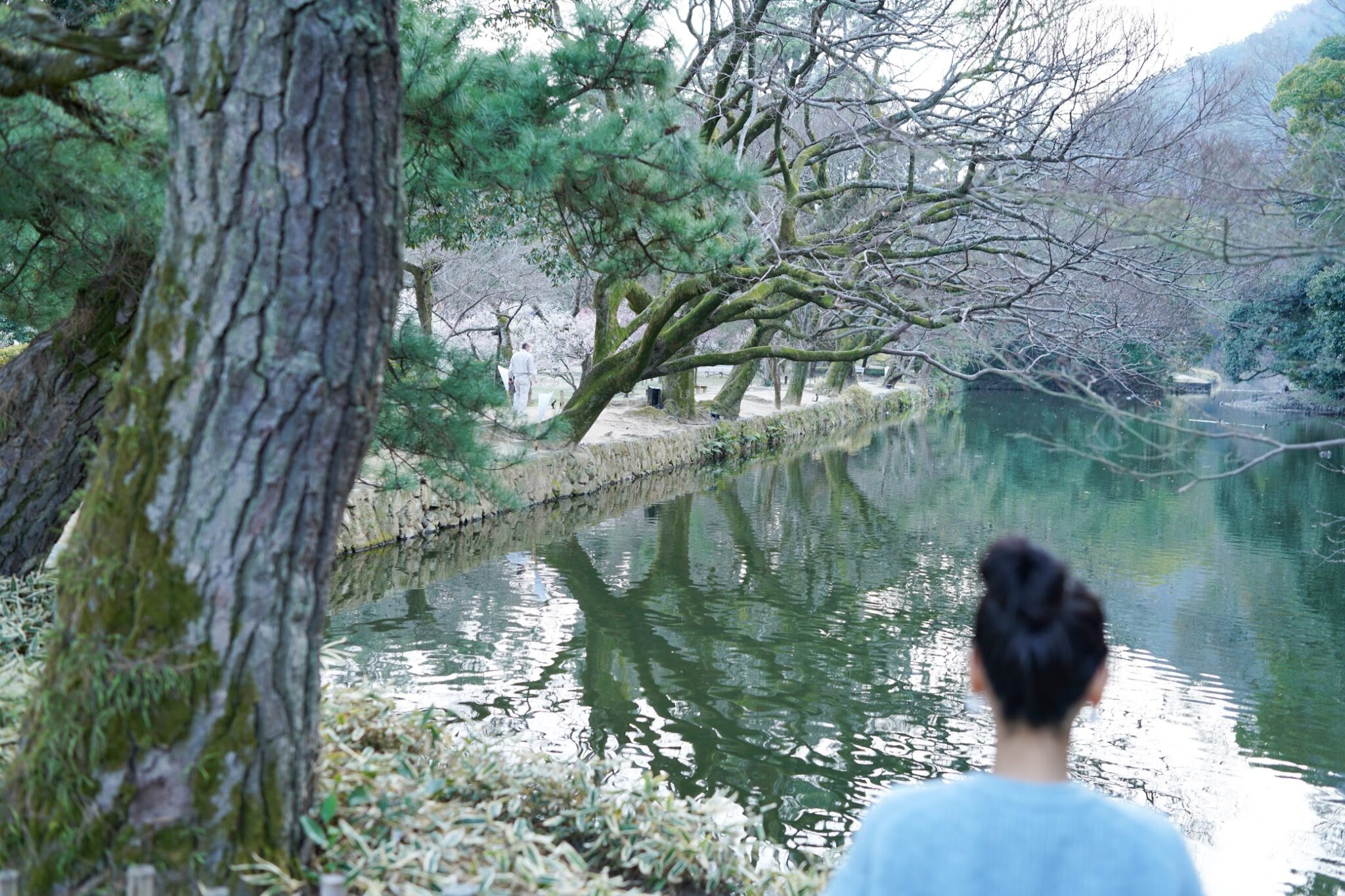 栗林公園 水の物語を感じるスポットまとめ – Ritsurin Garden, Water Tourism of Kagawa