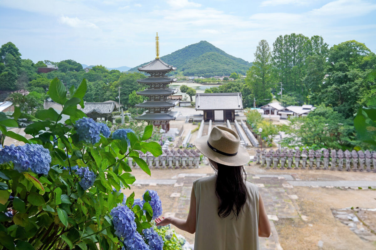 水彩画　仏生山法然寺　夕暮れ 水彩画仏生山法然寺夕暮れ