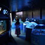 【香川 4/6(日)最終日】新屋島水族館がリニューアルのため閉館 – [Kagawa: Last day on Sunday 6 April] the new Yashima Aquarium is closed for renewal.