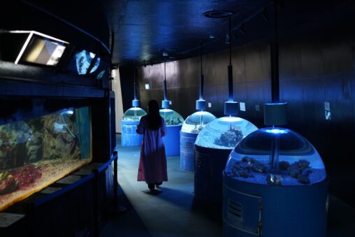 【香川 4/6(日)最終日】新屋島水族館がリニューアルのため閉館 - [Kagawa: Last day on Sunday 6 April] the new Yashima Aquarium is closed for renewal.