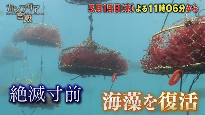 カンブリア宮殿【世界中の海を元気に　新たな海藻の食文化を！】