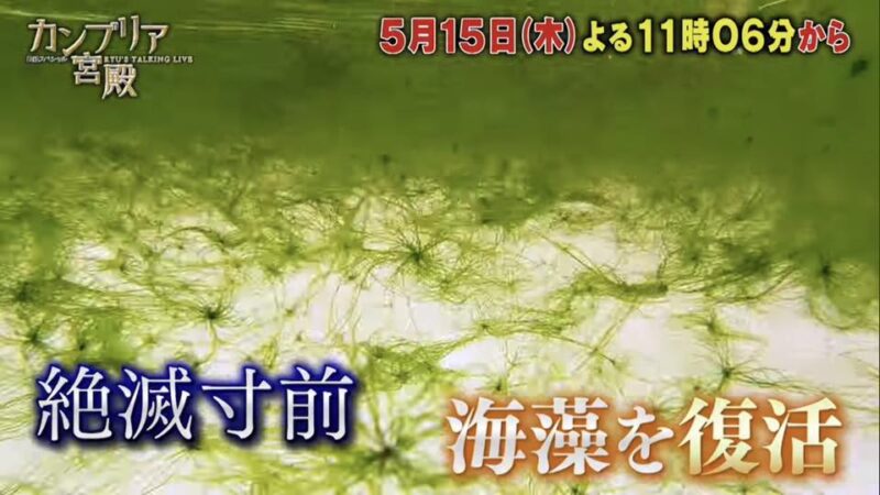 カンブリア宮殿【世界中の海を元気に　新たな海藻の食文化を！】