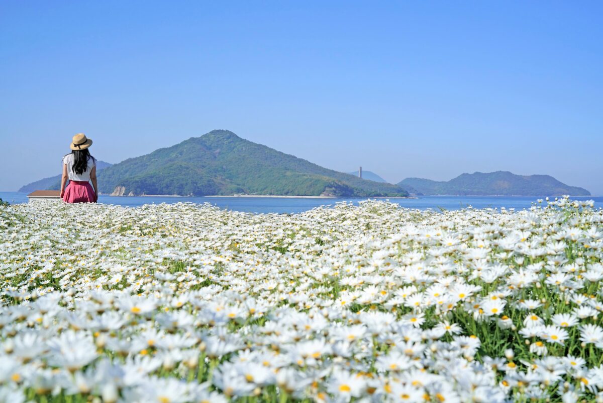 香川】浦島伝説が残る荘内半島の花畑『フラワーパーク浦島』 – [Kagawa