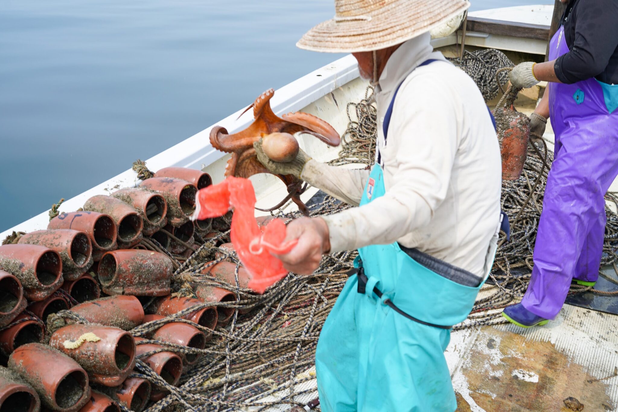 瀬戸内海、小手島沖、タコツボ漁とムール貝漁 – Filming of octopus and mussel fishing in the Seto Inland Sea, off the Oteshima island | 物語を届けるしごと