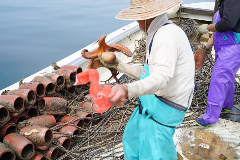 瀬戸内海、小手島沖、タコツボ漁とムール貝漁 – Filming of octopus and mussel fishing in the Seto Inland Sea, off the Oteshima island