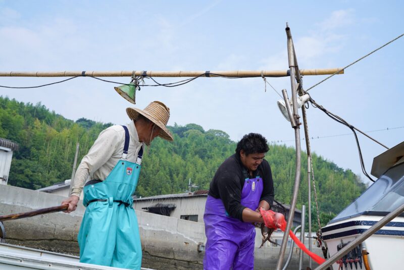 瀬戸内海、小手島沖、タコツボ漁とムール貝漁 – Filming of octopus and mussel fishing in the Seto Inland Sea, off the Oteshima island