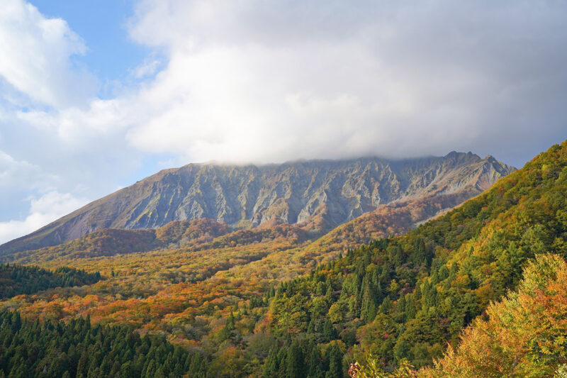 古代から続く、西日本最大級のブナ林「鍵掛峠（かぎかけとうげ）」 –  An ancient beech forest, among the largest in western Japan. Kagikake Pass, Mt. Daisen