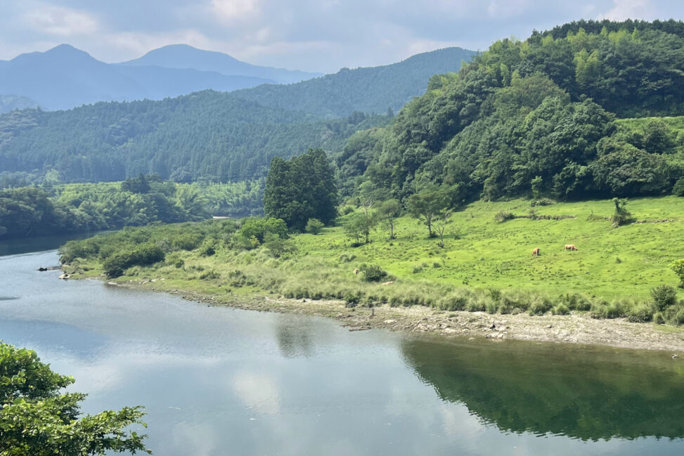 清流と山に抱かれた赤牛牧場。土佐あかうしのふるさと - Akaushi Ranch, nestled amidst clear streams and mountains. The homeland of Tosa Akaushi cattle.
