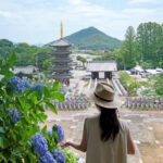 【香川】仏生山 来迎院 法然寺（ほうねんじ） – [Kagawa] Houenji Temple, Raigoin, Busshozan