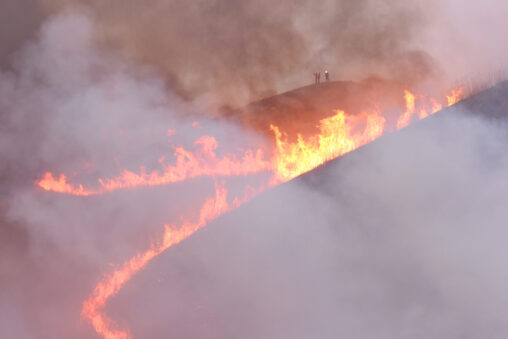 【徳島/愛媛】塩塚高原の山焼き - [Tokushima/Ehime] The controlled burning of the Shiozuka Highlands