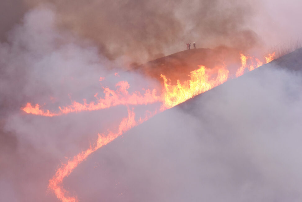 【徳島/愛媛】塩塚高原の山焼き - [Tokushima/Ehime] The controlled burning of the Shiozuka Highlands