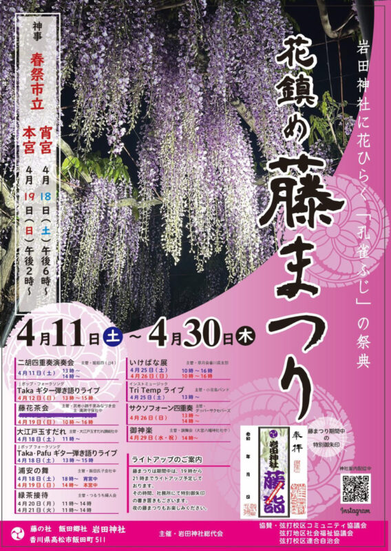 【香川 4/11-30】樹齢800年の孔雀藤。香川県高松市の岩田神社 - [Kagawa  4/11-30] Peacock Wistaria at Iwata shrine