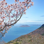 屋島で出会う春景色。瀬戸内海と桜が織りなす絶景散歩 – Spring scenery on Yashima: a stroll through the breathtaking views created by the Seto Inland Sea and cherry blossoms