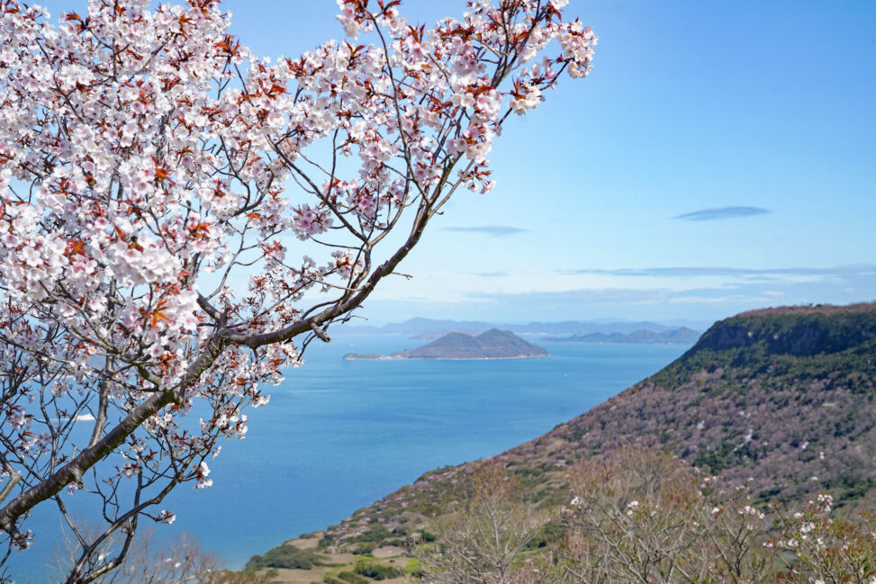 屋島で出会う春景色。瀬戸内海と桜が織りなす絶景散歩 – Spring scenery on Yashima: a stroll through the breathtaking views created by the Seto Inland Sea and cherry blossoms