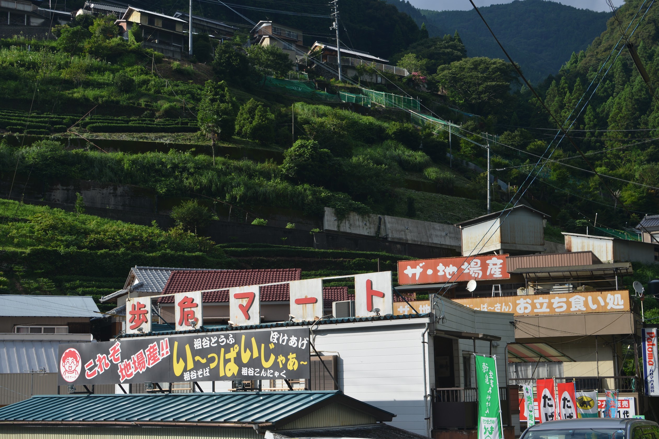 徳島】世界から人が集まる秘境・祖谷にあるご当地スーパー「歩危マート