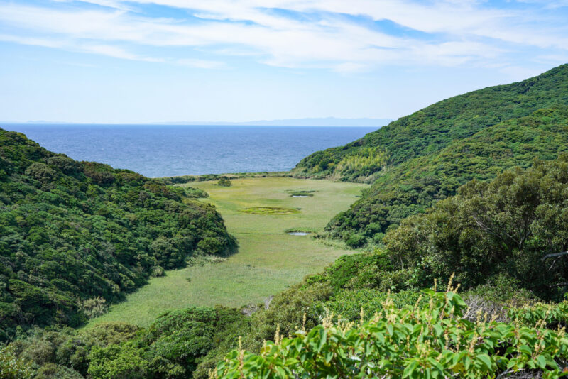【徳島】日本の重要湿地500、伊島の野尾辺湿原 – [Tokushima] Noobe Wetland at Ishima island
