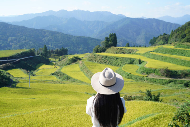 【高知】土佐柴刈唄の伝わる棚田「高須の棚田」 – [Kochi] Takasu Terraced Rice Fields