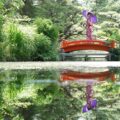 【香川】一歩一景の美しさ『栗林公園』 – [Kagawa] The daimyo garden given 3-star status by the Michelin Green Guide Japan “Ritsurin Garden”