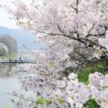 香東川桜の広場 – Plaza of Cherry blossoms at Koutougawa river
