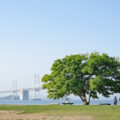 【香川県指定史跡】沙弥島、ナカンダ浜 - Nakandahama beach of Shamijima island