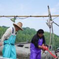 瀬戸内海、小手島沖、タコツボ漁とムール貝漁 - Filming of octopus and mussel fishing in the Seto Inland Sea, off the Oteshima island
