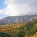 古代から続く、西日本最大級のブナ林「鍵掛峠(かぎかけとうげ)」 – An ancient beech forest, among the largest in western Japan. Kagikake Pass, Mt. Daisen